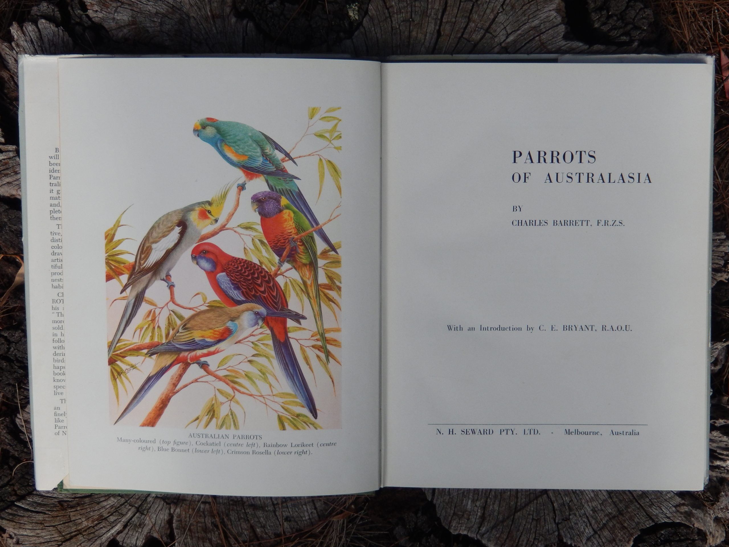 Parrots of Australasia by Charles Barrett First Edition 1949