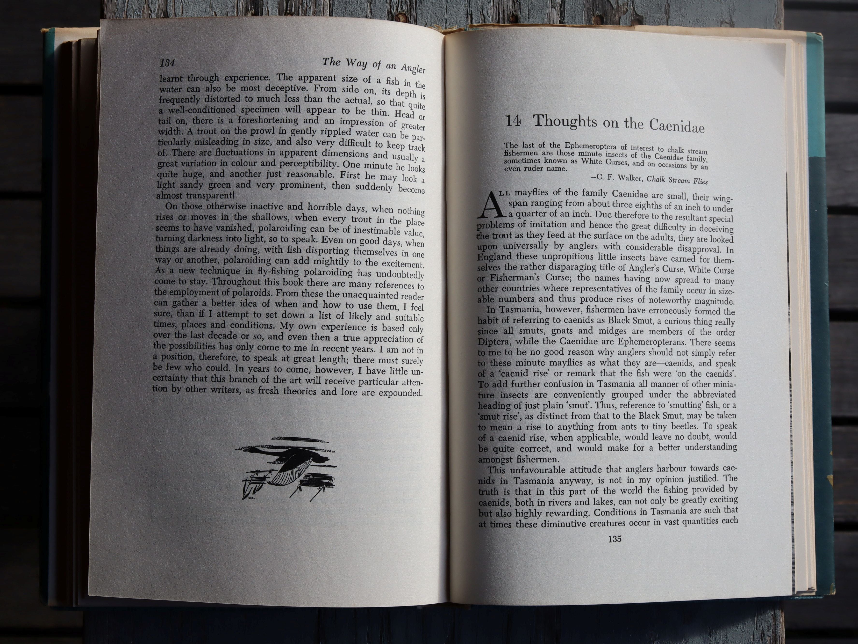 The Way of an Angler by David Scholes First Edition 1963
