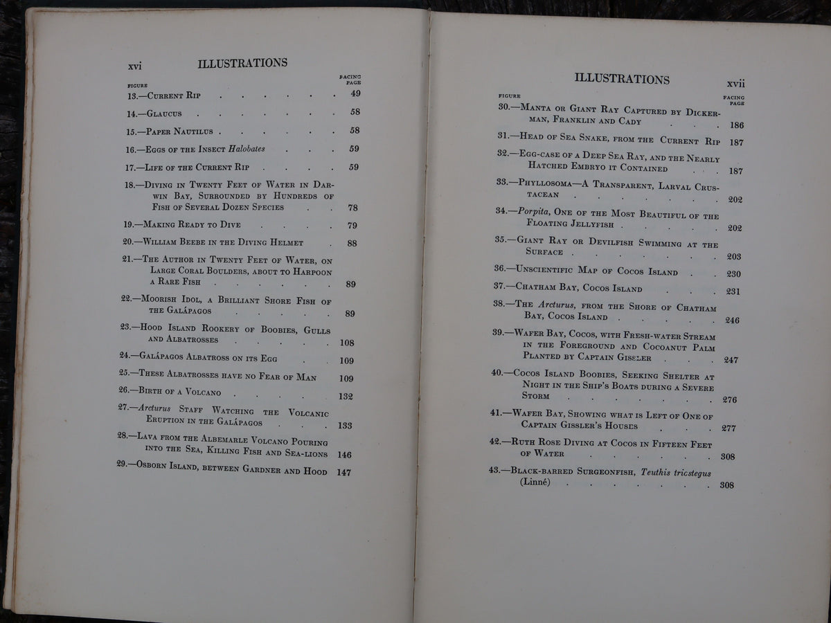 The Arcturus Adventure by William Beebe 1926