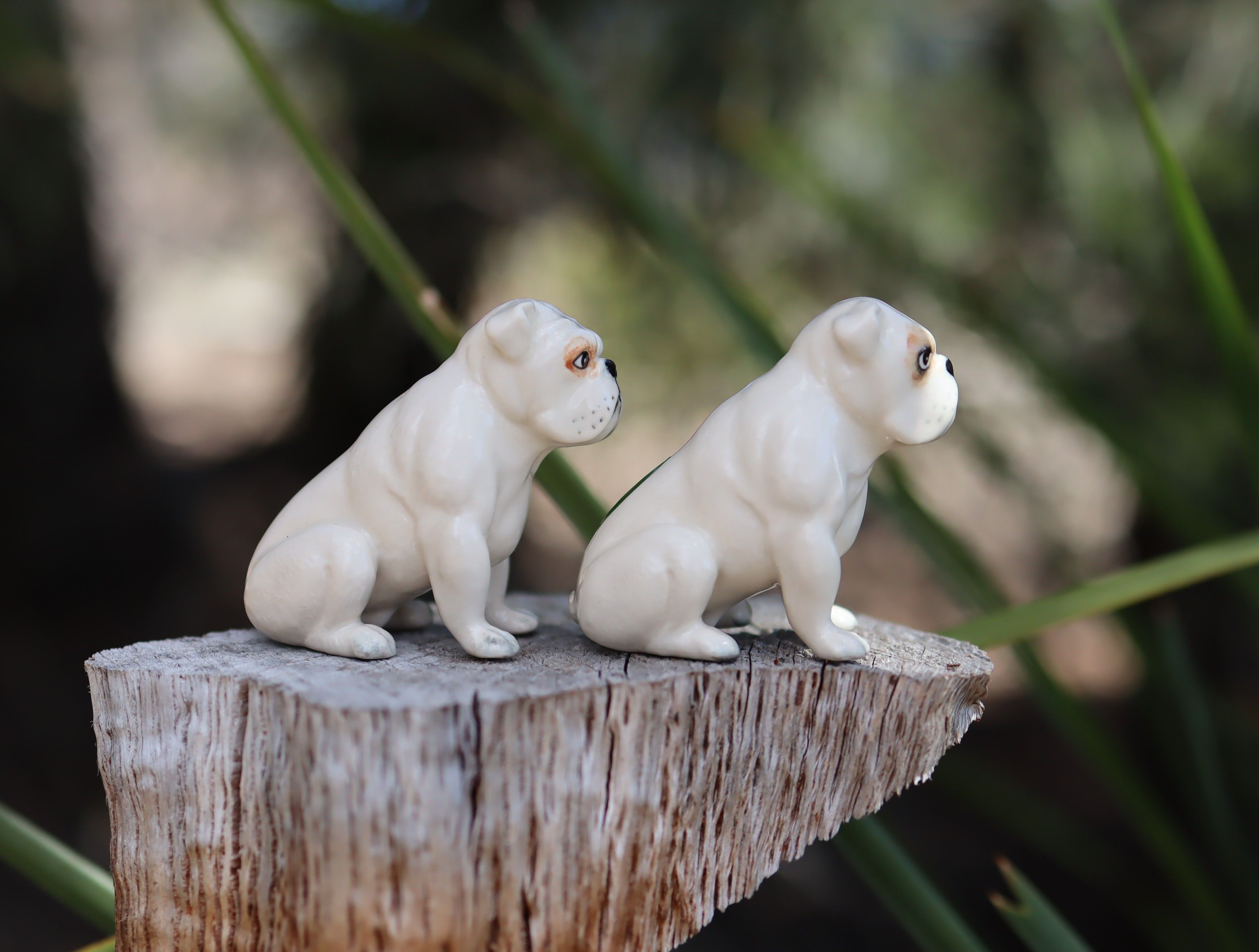 Beswick Bulldogs