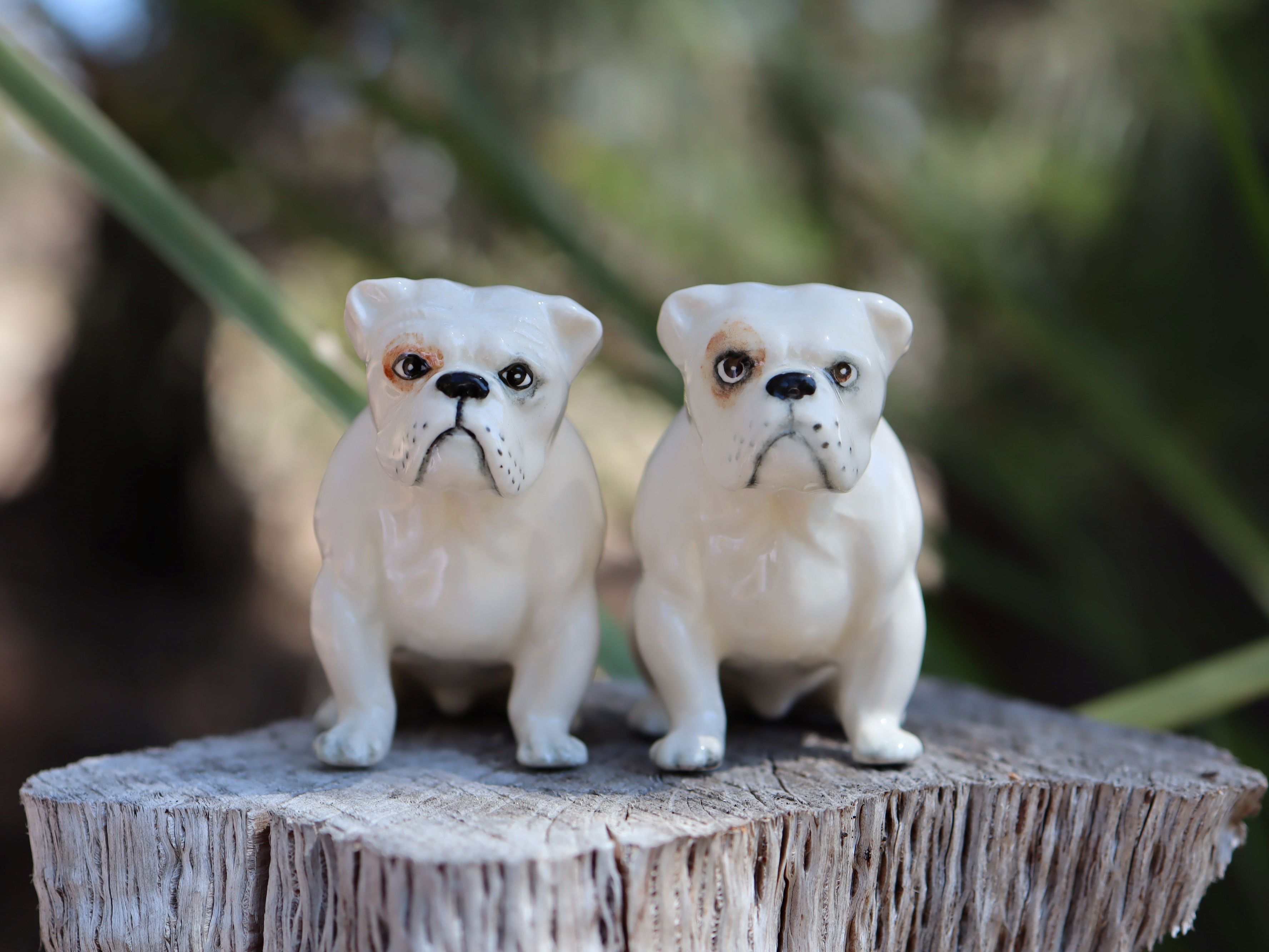 Beswick Bulldogs