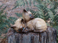 Beswick Siamese Kittens