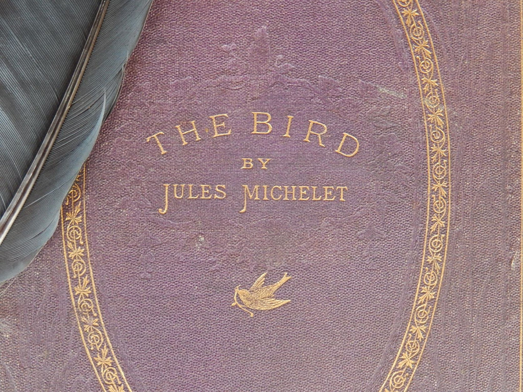 The Bird by Jules Michelet 1870