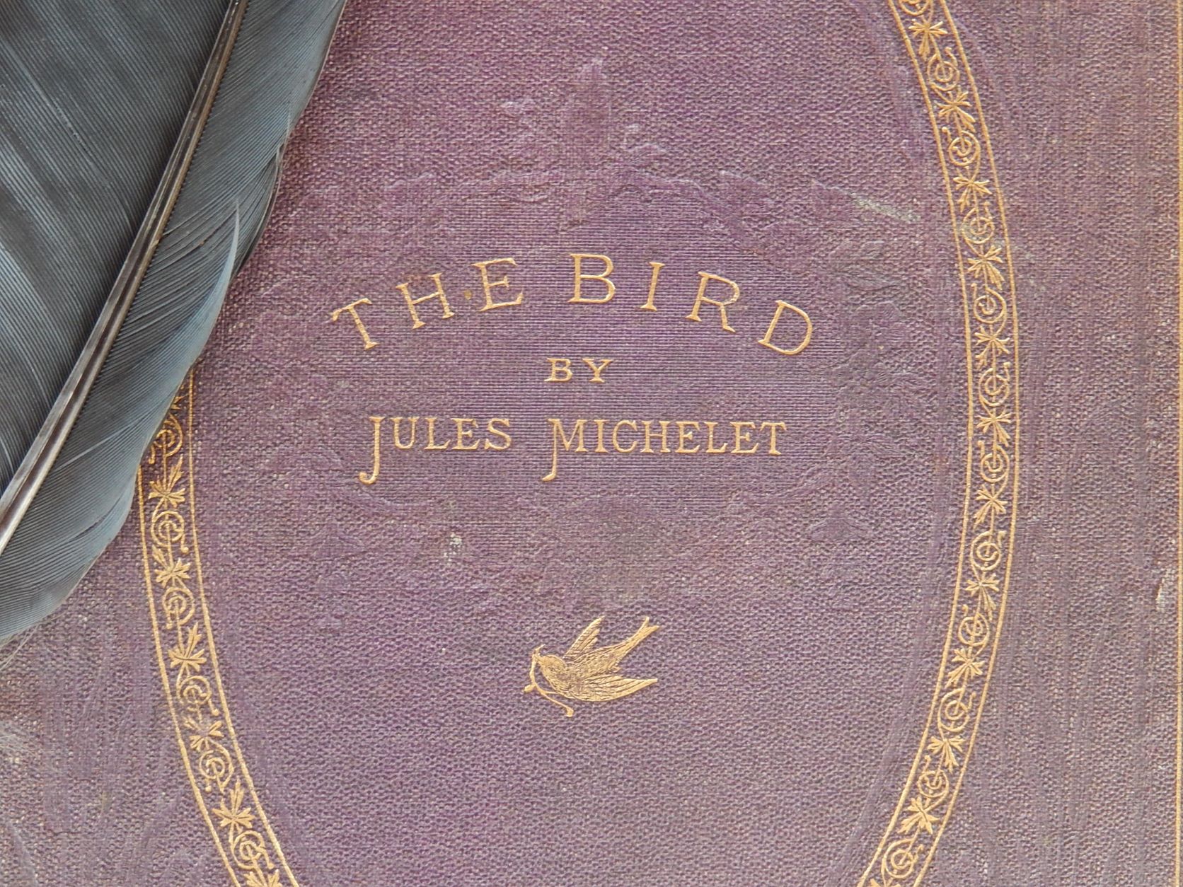 The Bird by Jules Michelet 1870