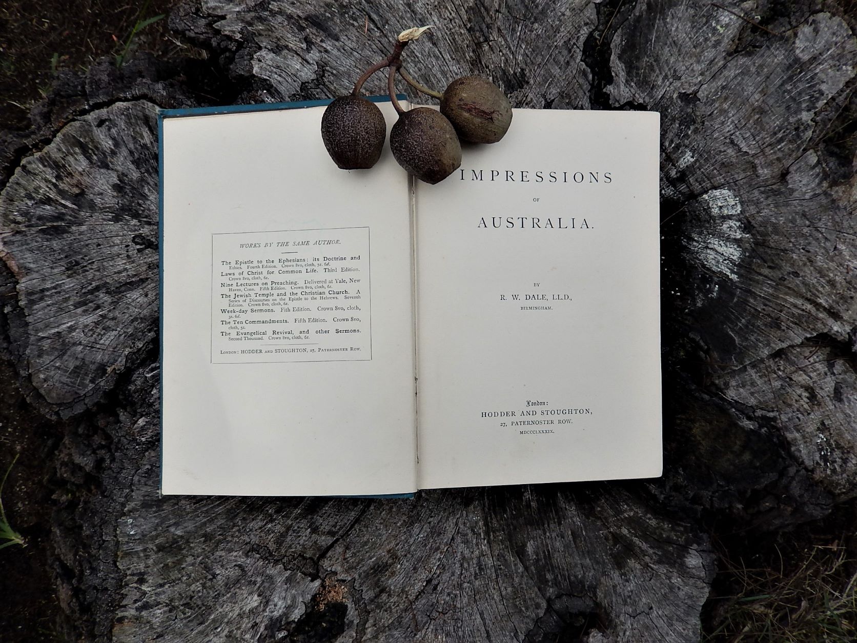 Impressions of Australia by R.W.Dale