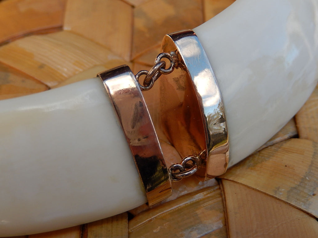 Handmade Boar's Tooth Necklace in 9ct Gold