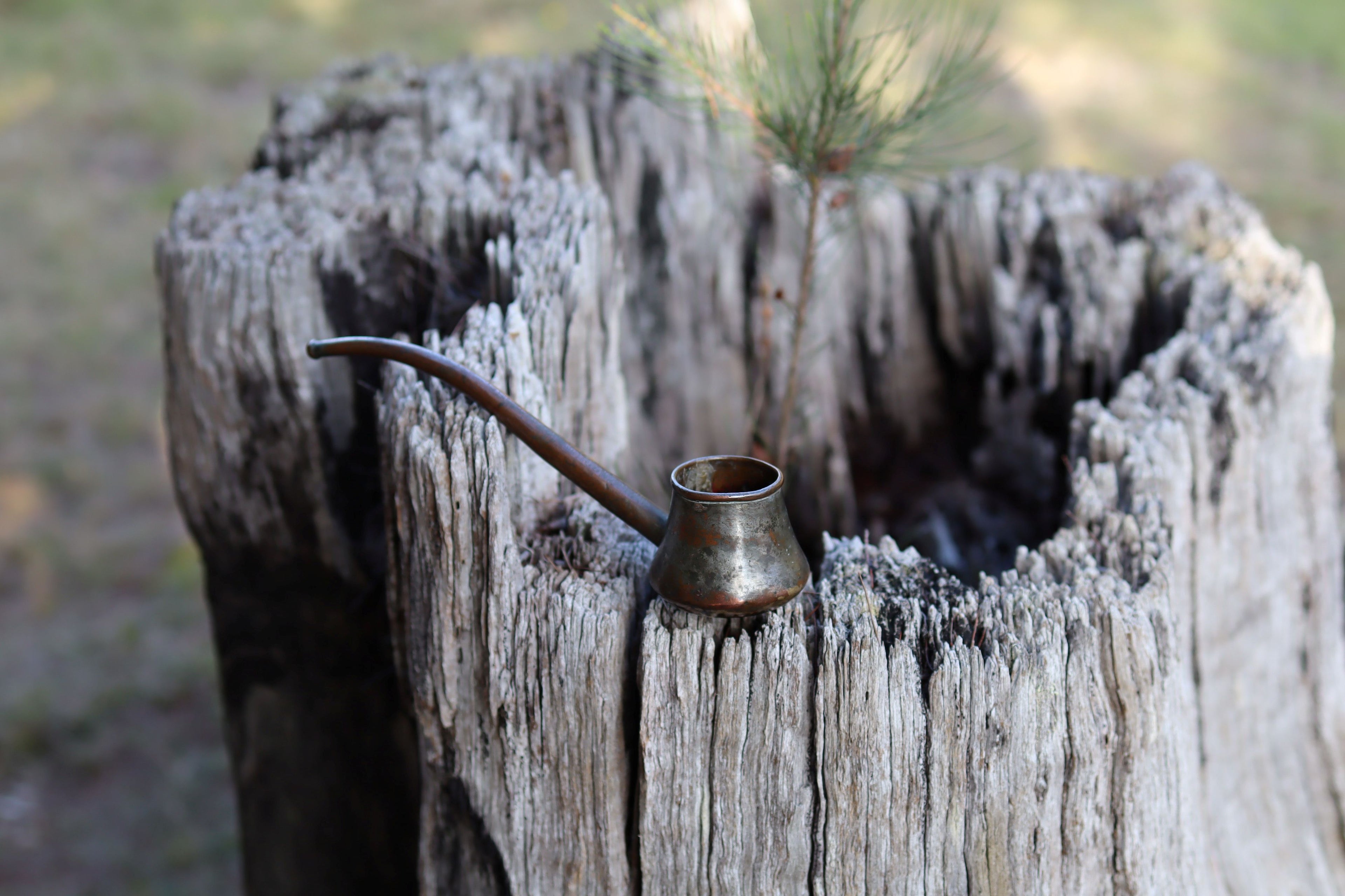 Bonsai Watering Can