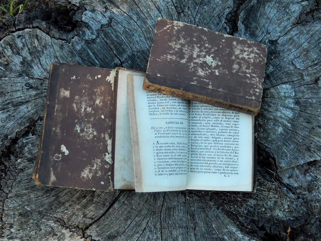 History of the Famous Preacher Fray Gerunmo 1824