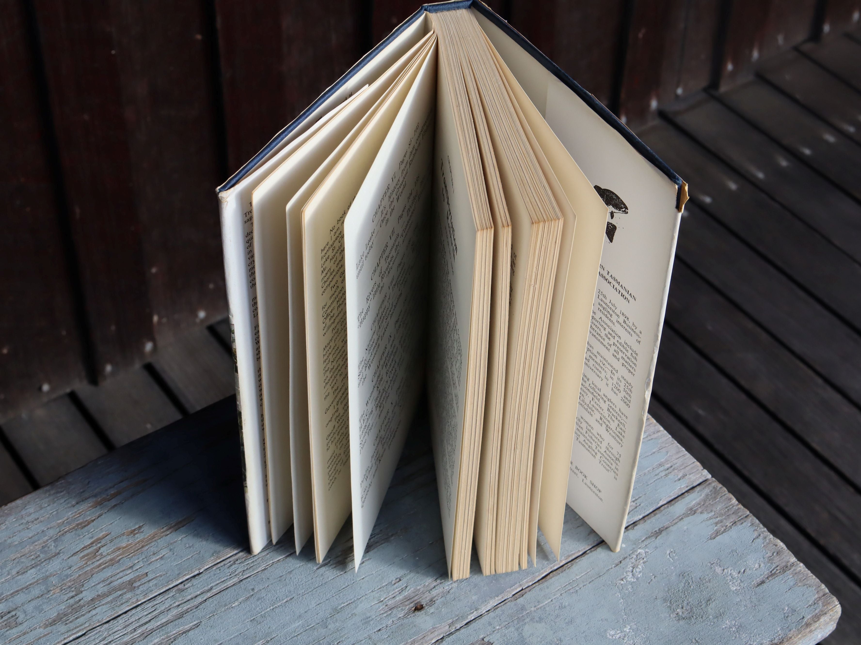The Tasmanian Trout by Don Gilmour First Edition 1973