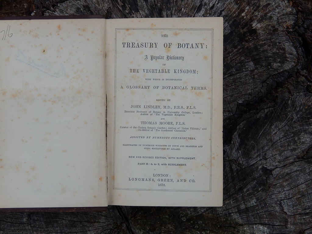 The Treasury of Botany 1876