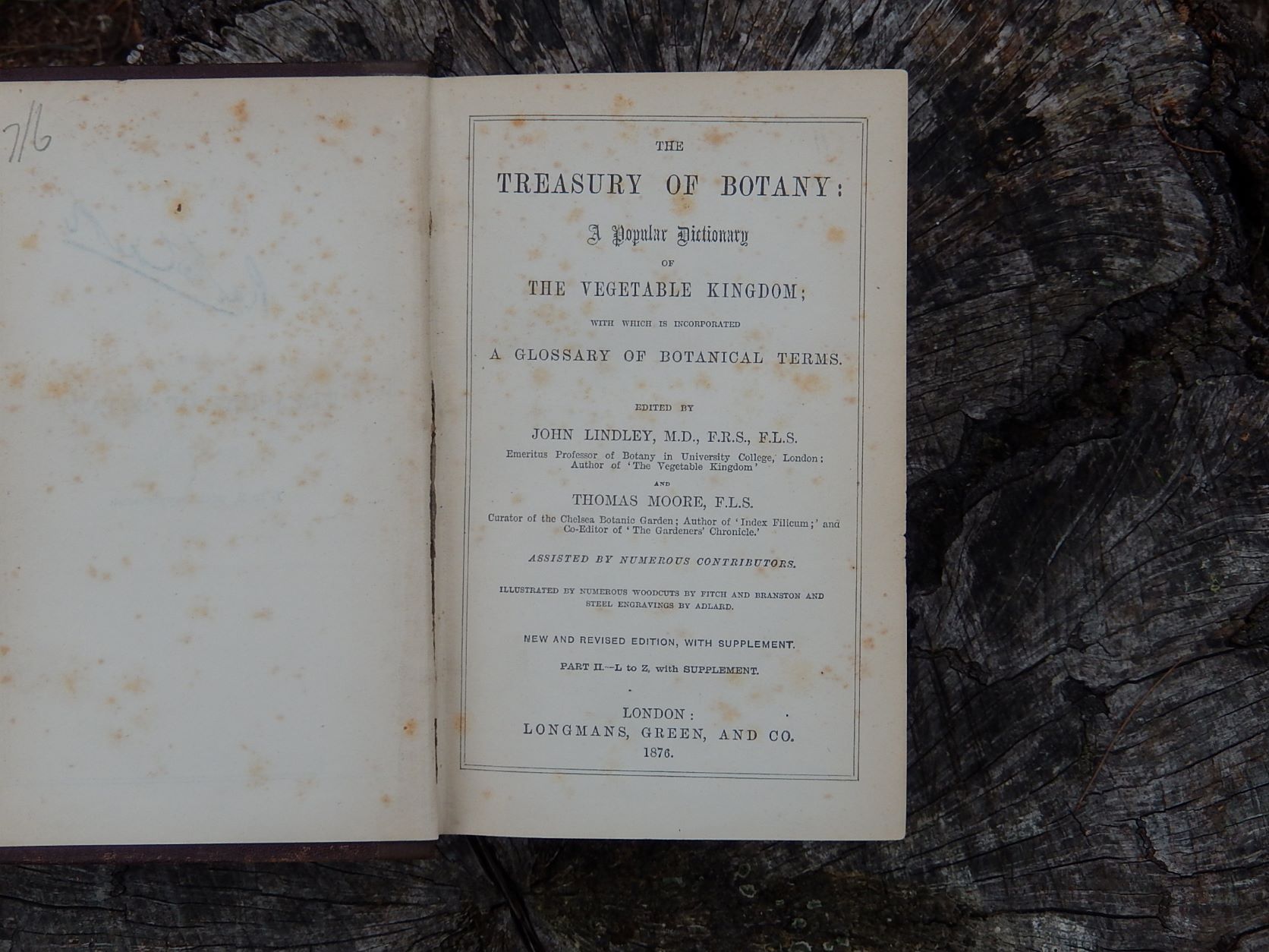 The Treasury of Botany 1876