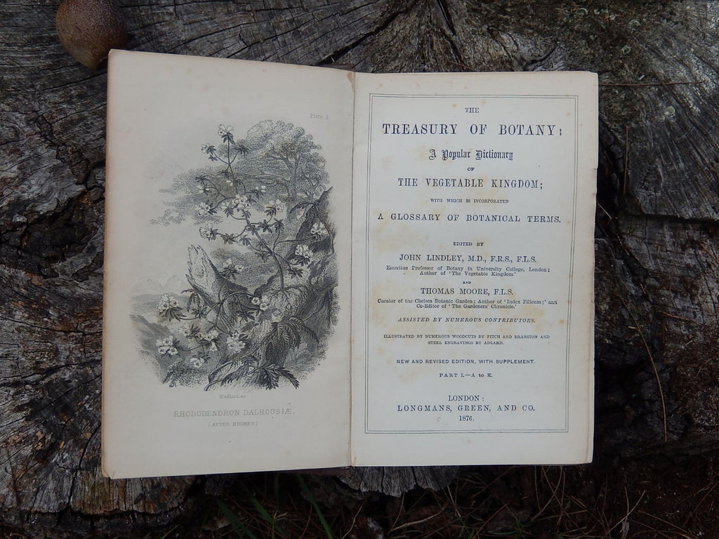 The Treasury of Botany 1876
