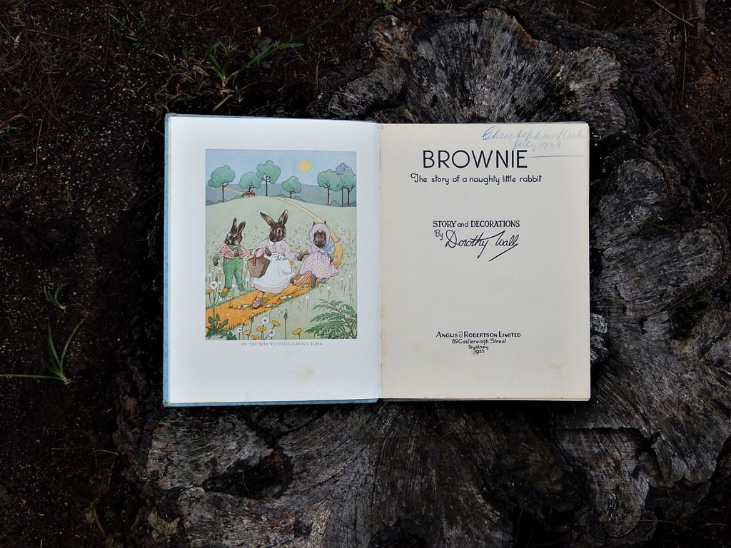 Brownie - The Story of a Naughty Little Rabbit by Dorothy Wall