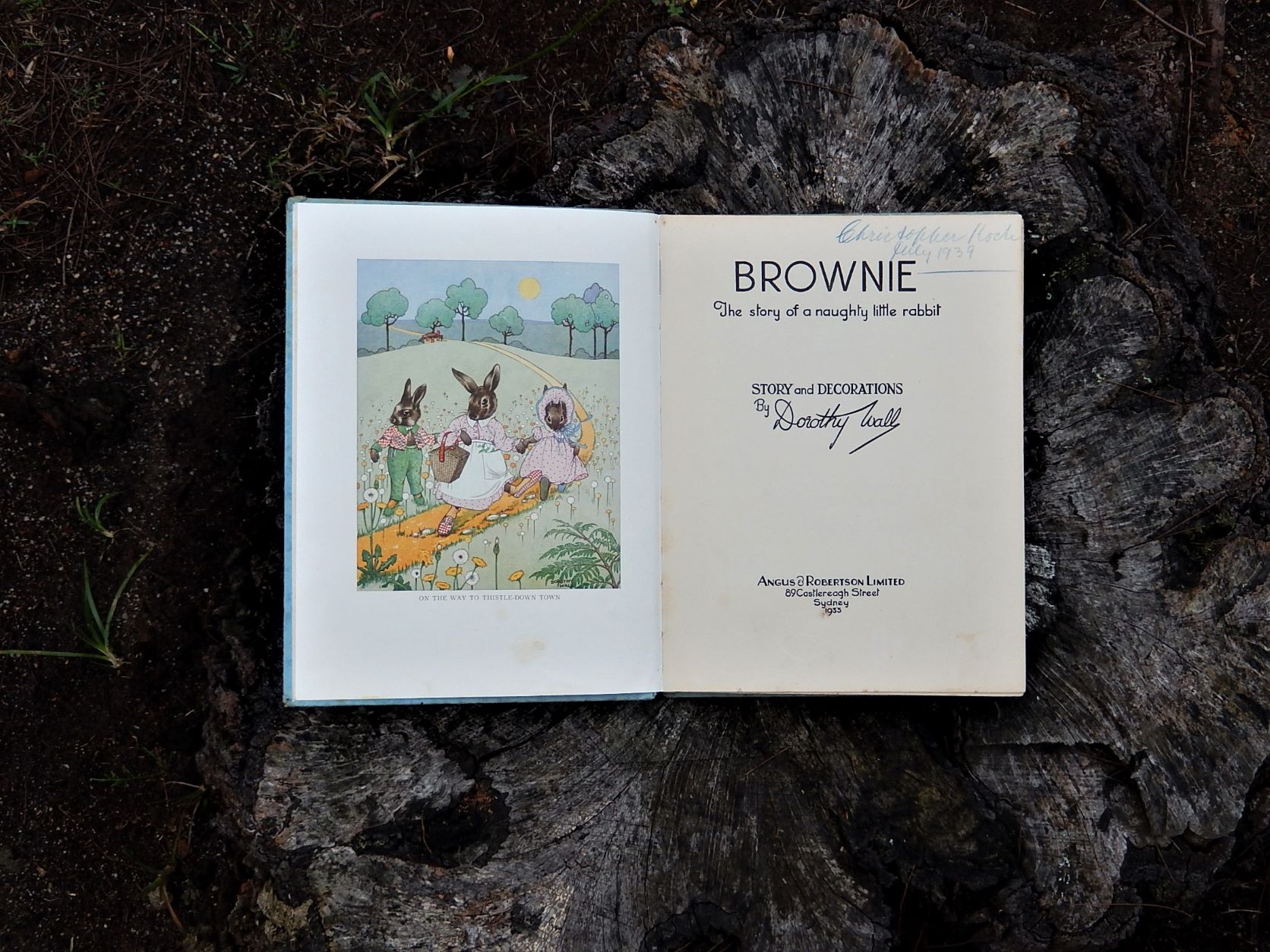Brownie - The Story of a Naughty Little Rabbit by Dorothy Wall
