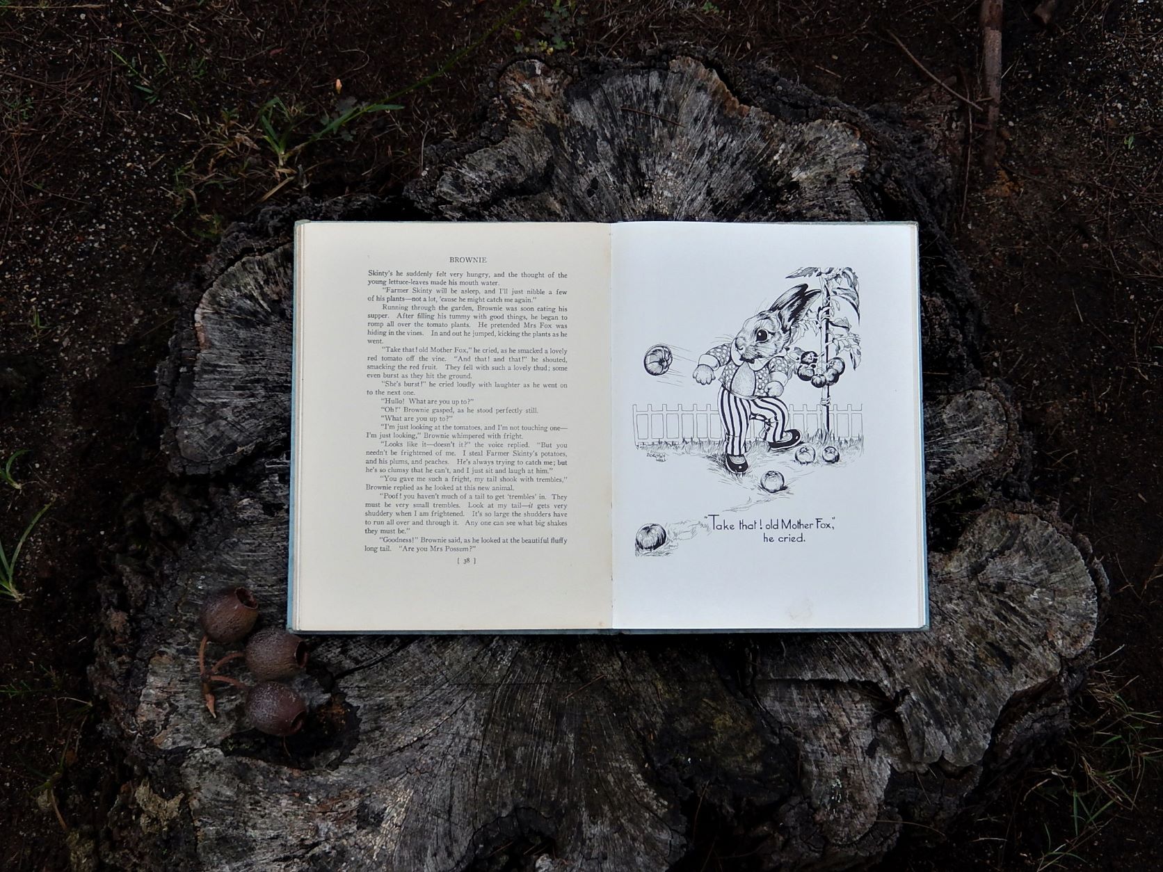 Brownie - The Story of a Naughty Little Rabbit by Dorothy Wall
