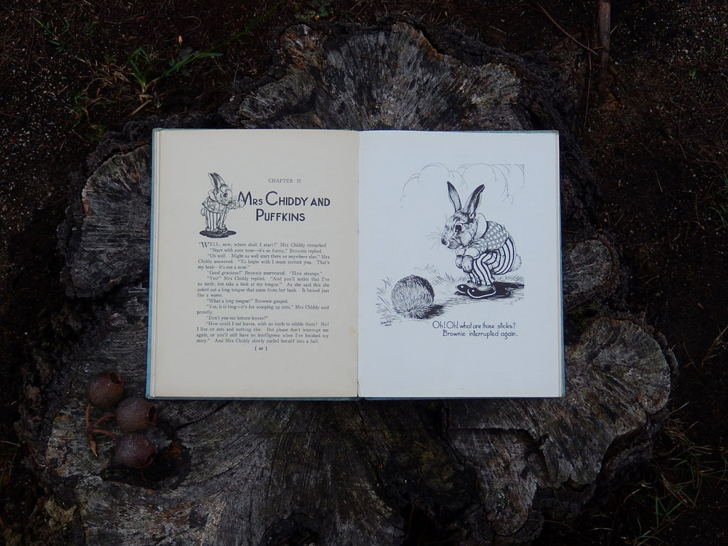 Brownie - The Story of a Naughty Little Rabbit by Dorothy Wall