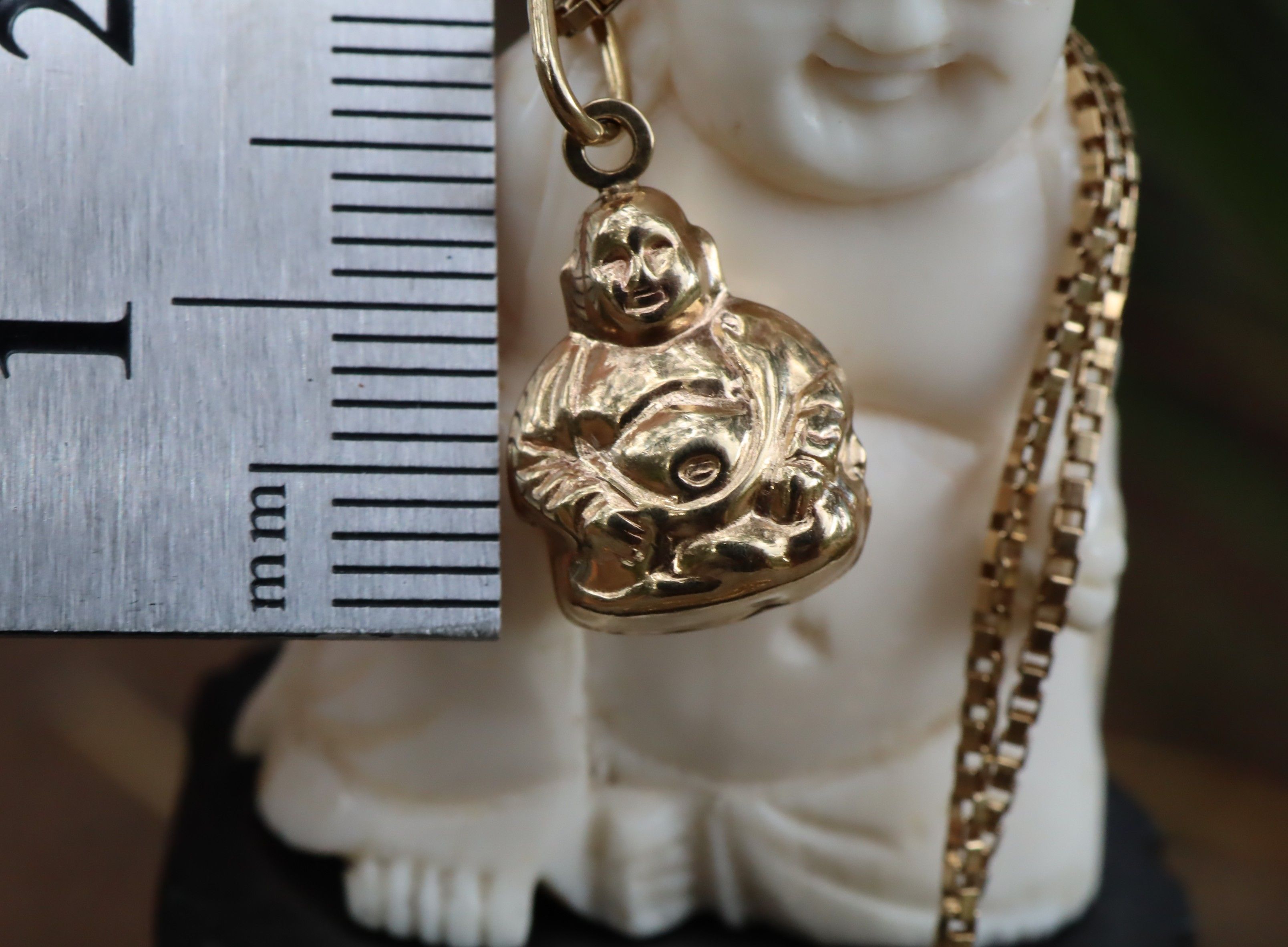 9ct Gold Buddha on 9ct Box Chain