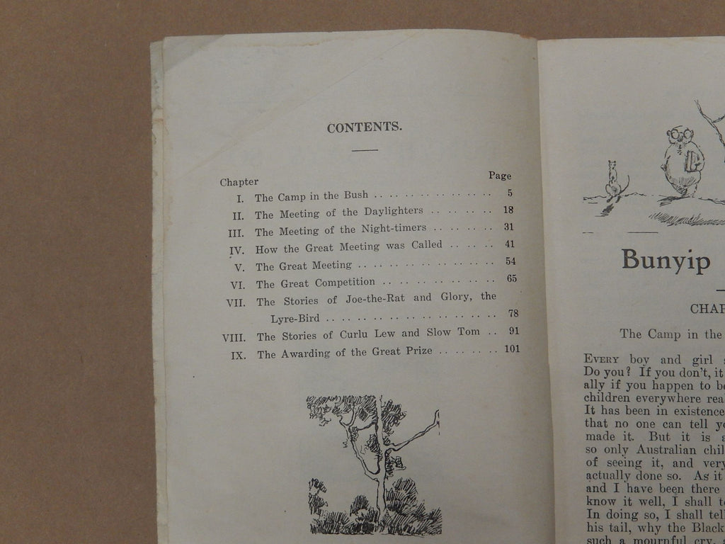 Bunyip Says So by WM Fleming