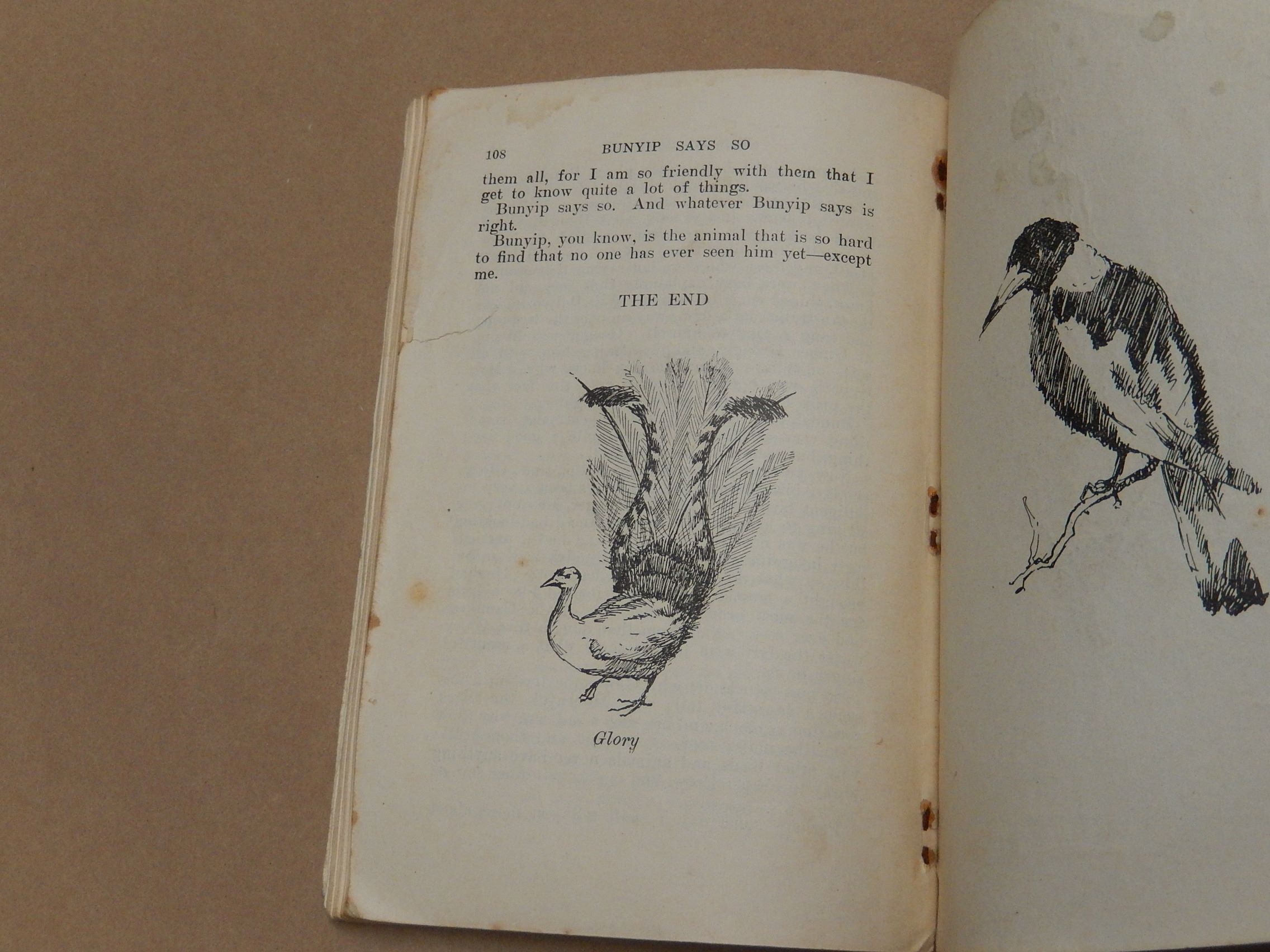 Bunyip Says So by WM Fleming