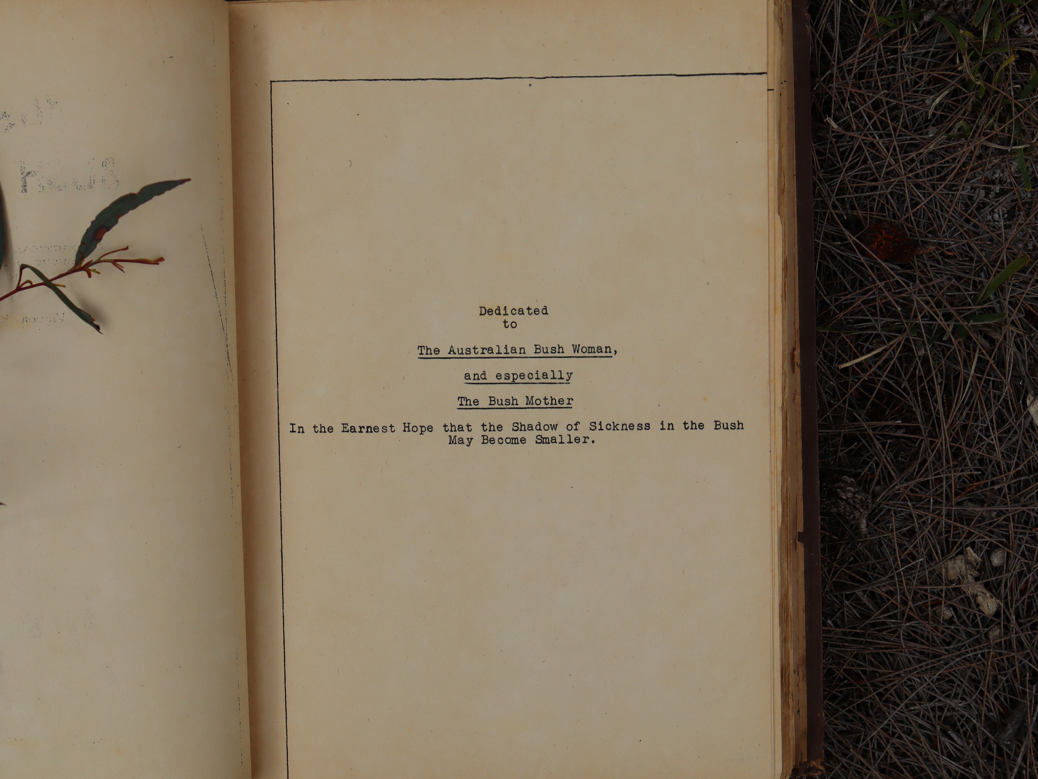 Bush Medicine by Victor H. Webster 1948