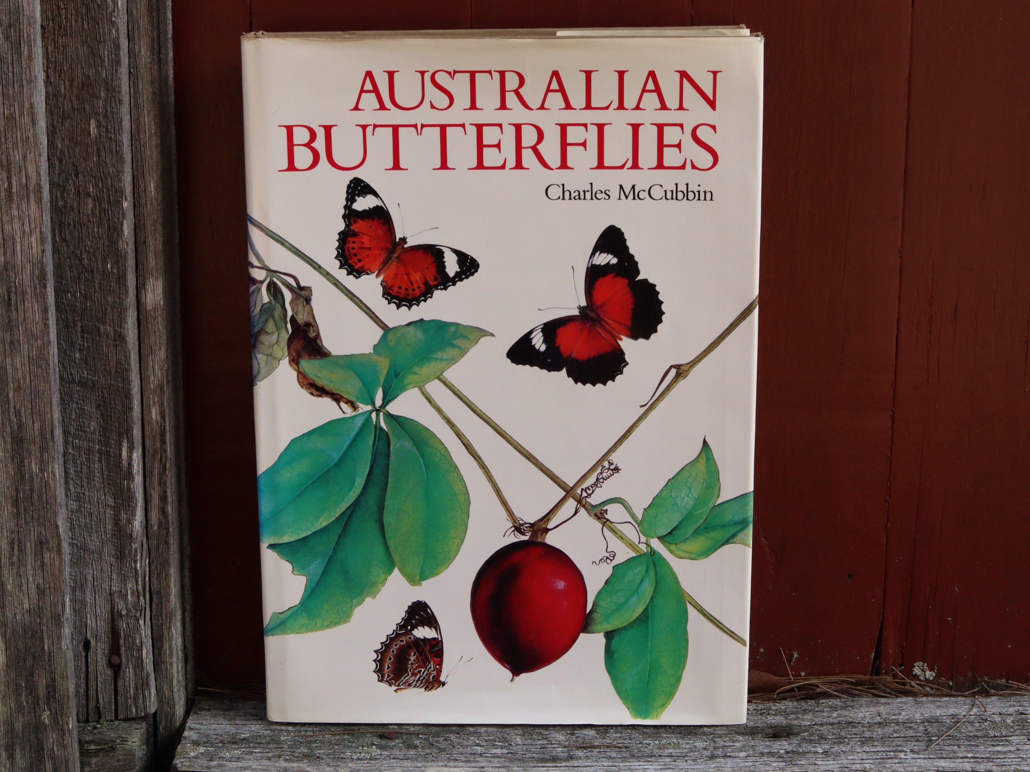 Australian Butterflies by Charles McCubbin