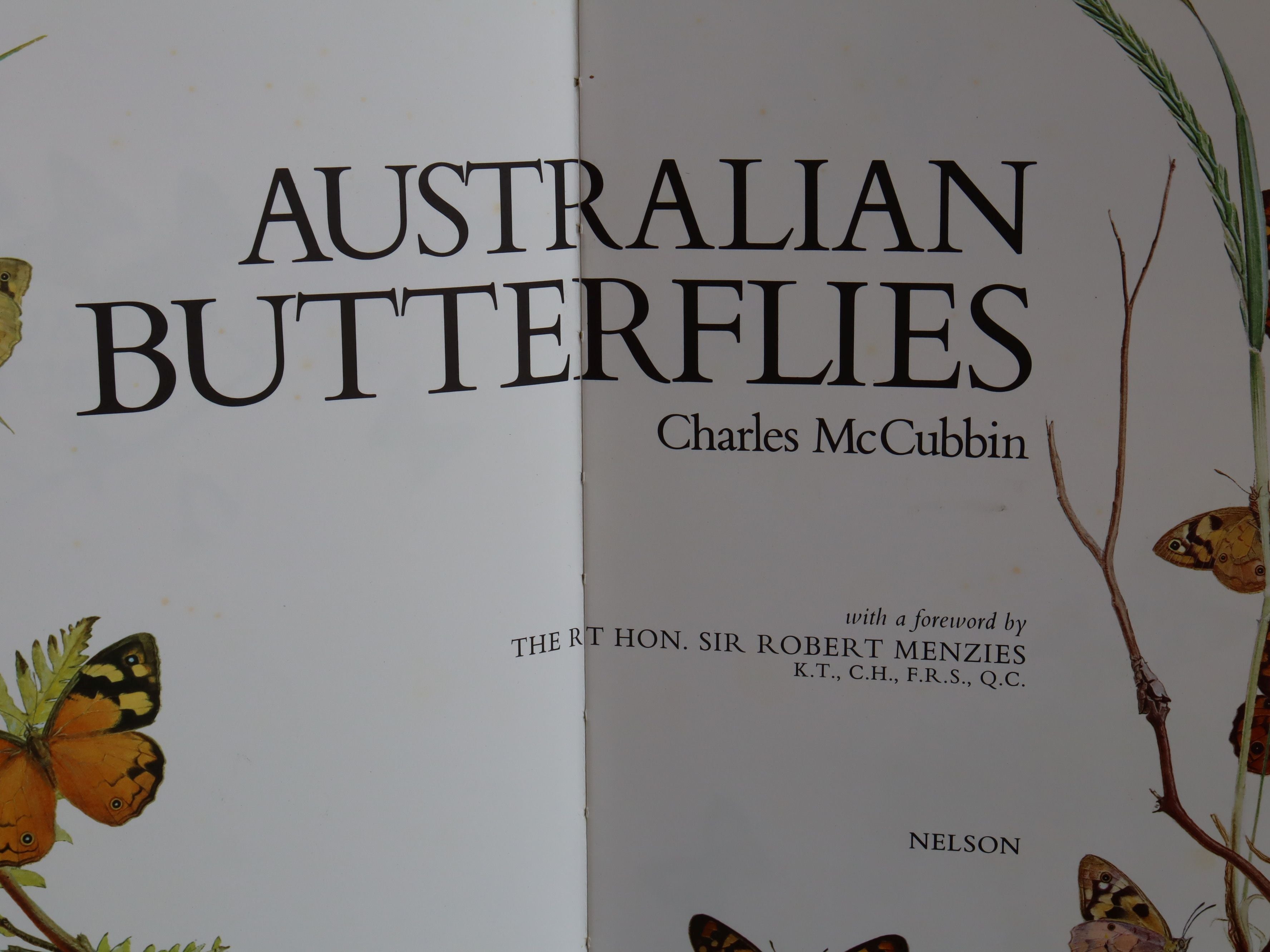 Australian Butterflies by Charles McCubbin