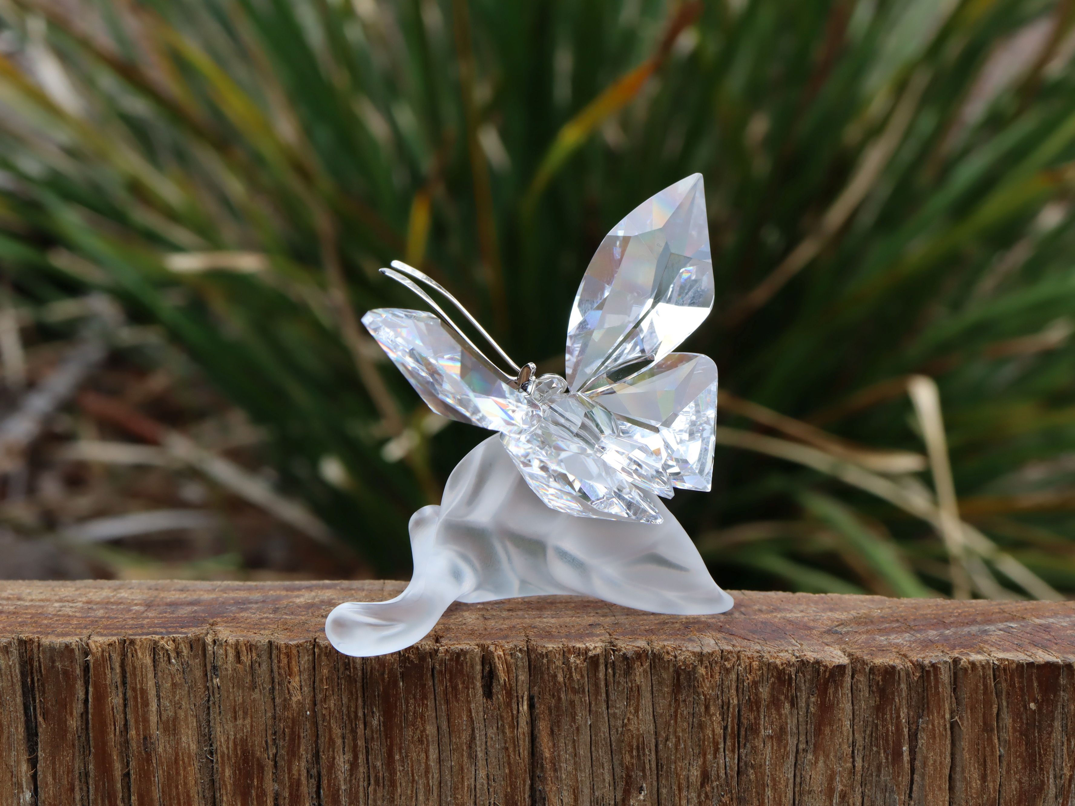 Swarovski Butterfly on Leaf