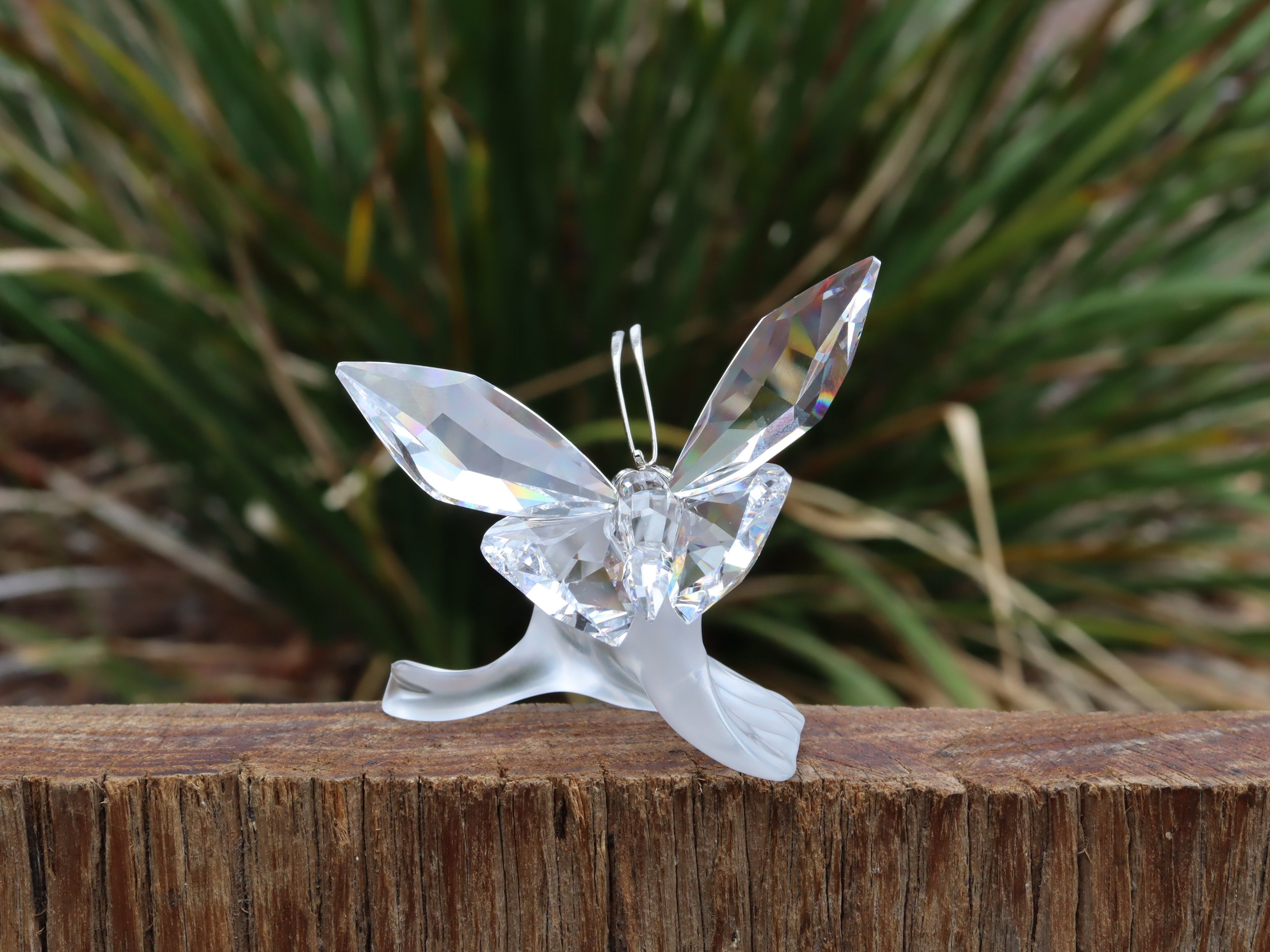 Swarovski Butterfly on Leaf