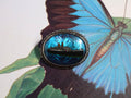 Butterfly Wing in Sterling Silver