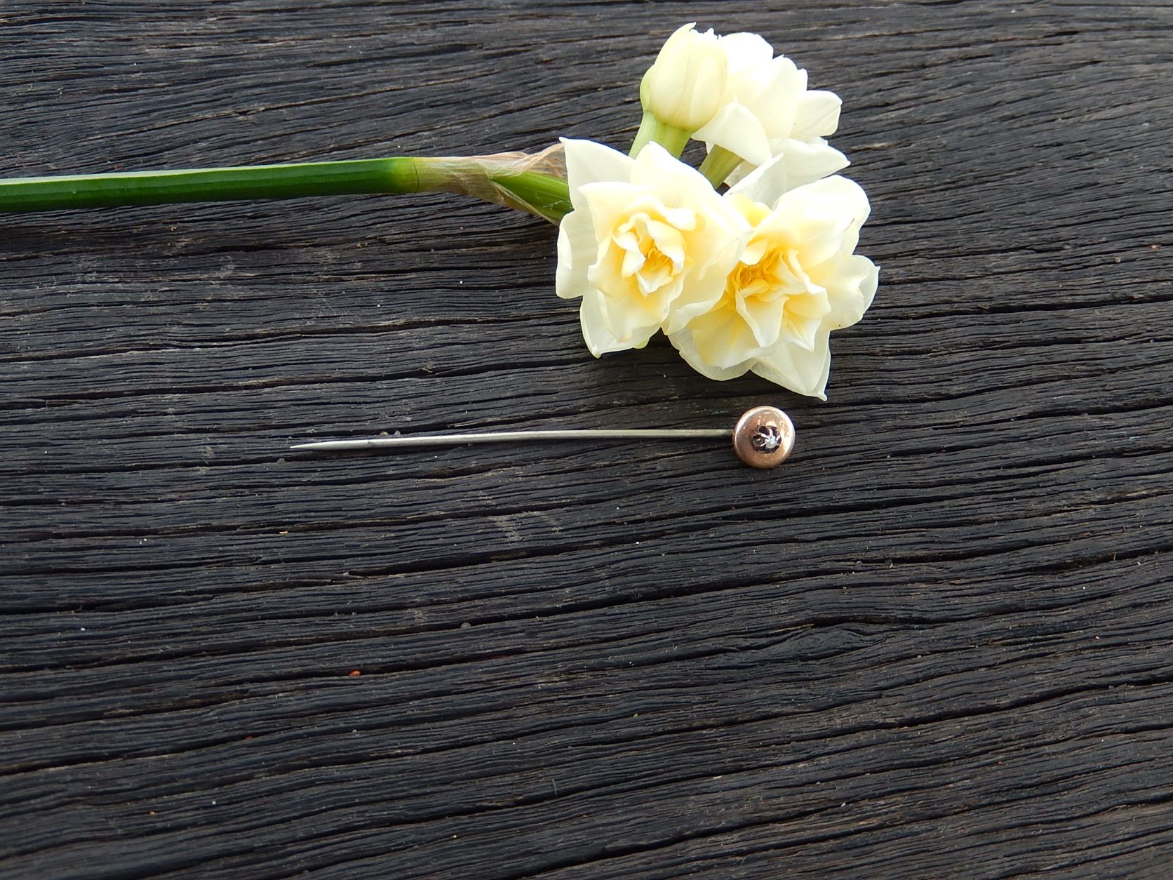 Seed Pearl Pin in 9ct