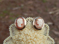 Cameo Shell Earrings in 9ct