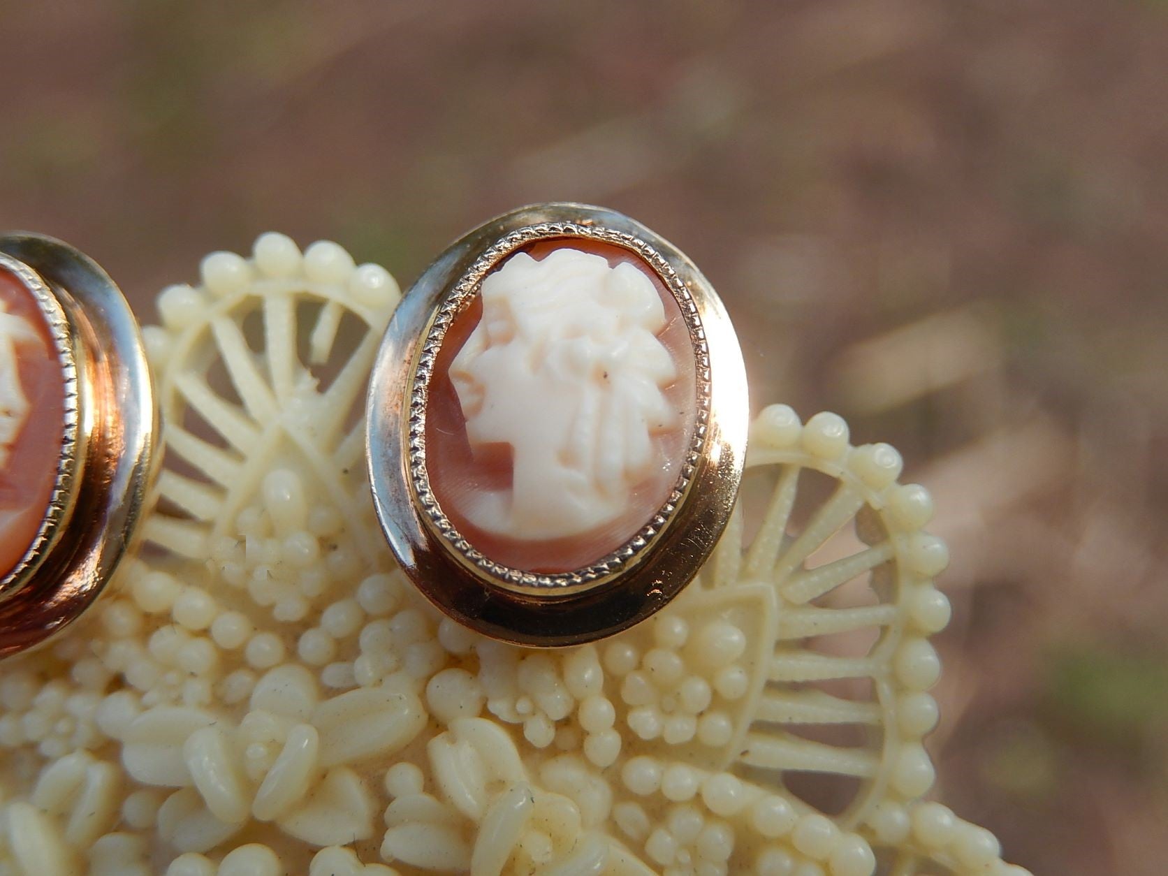 Cameo Shell Earrings in 9ct
