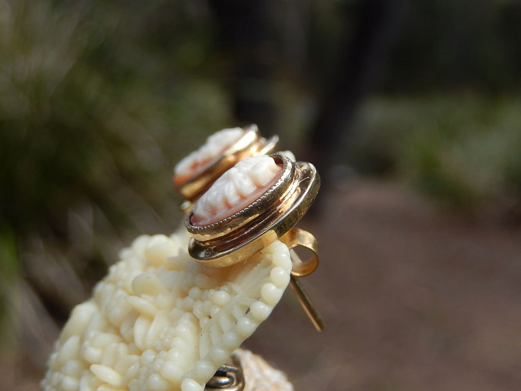 Cameo Shell Earrings in 9ct