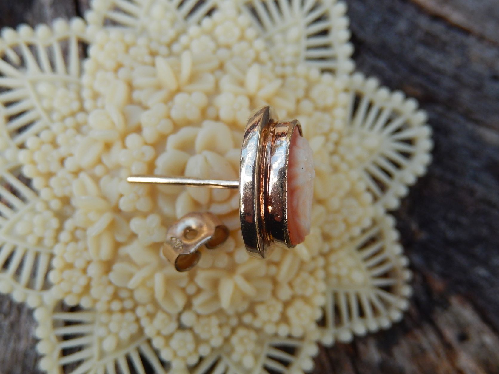 Cameo Shell Earrings in 9ct