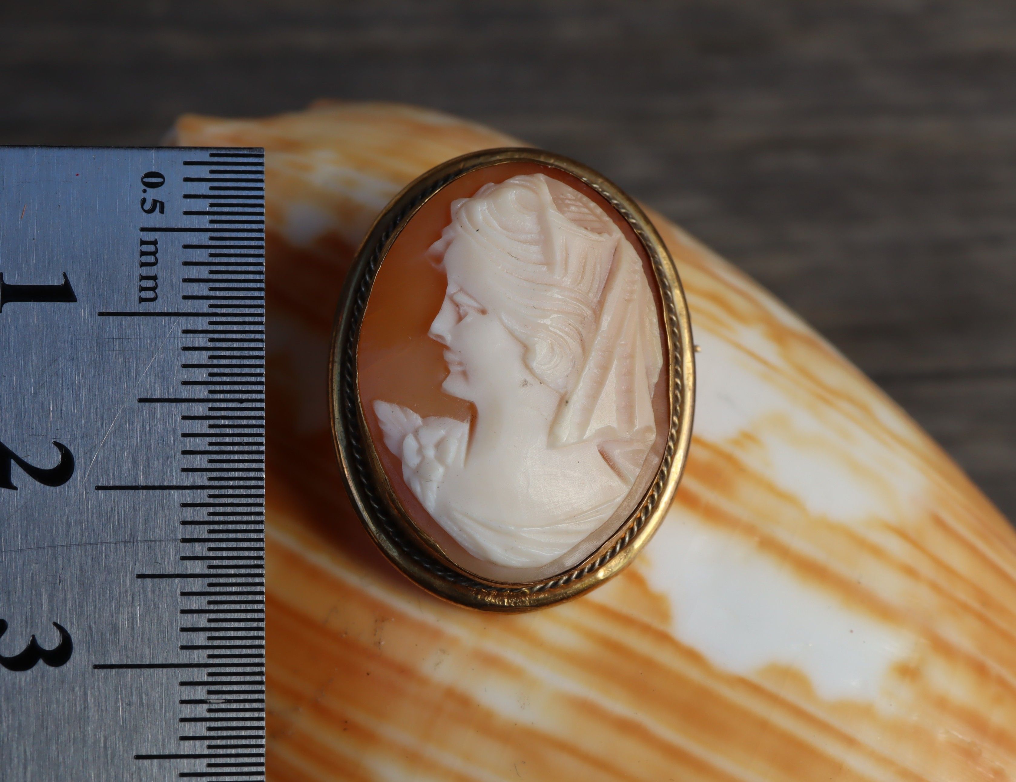 Cameo in 9ct Gold