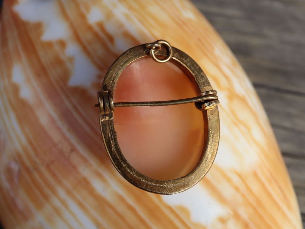 Cameo in 9ct Gold
