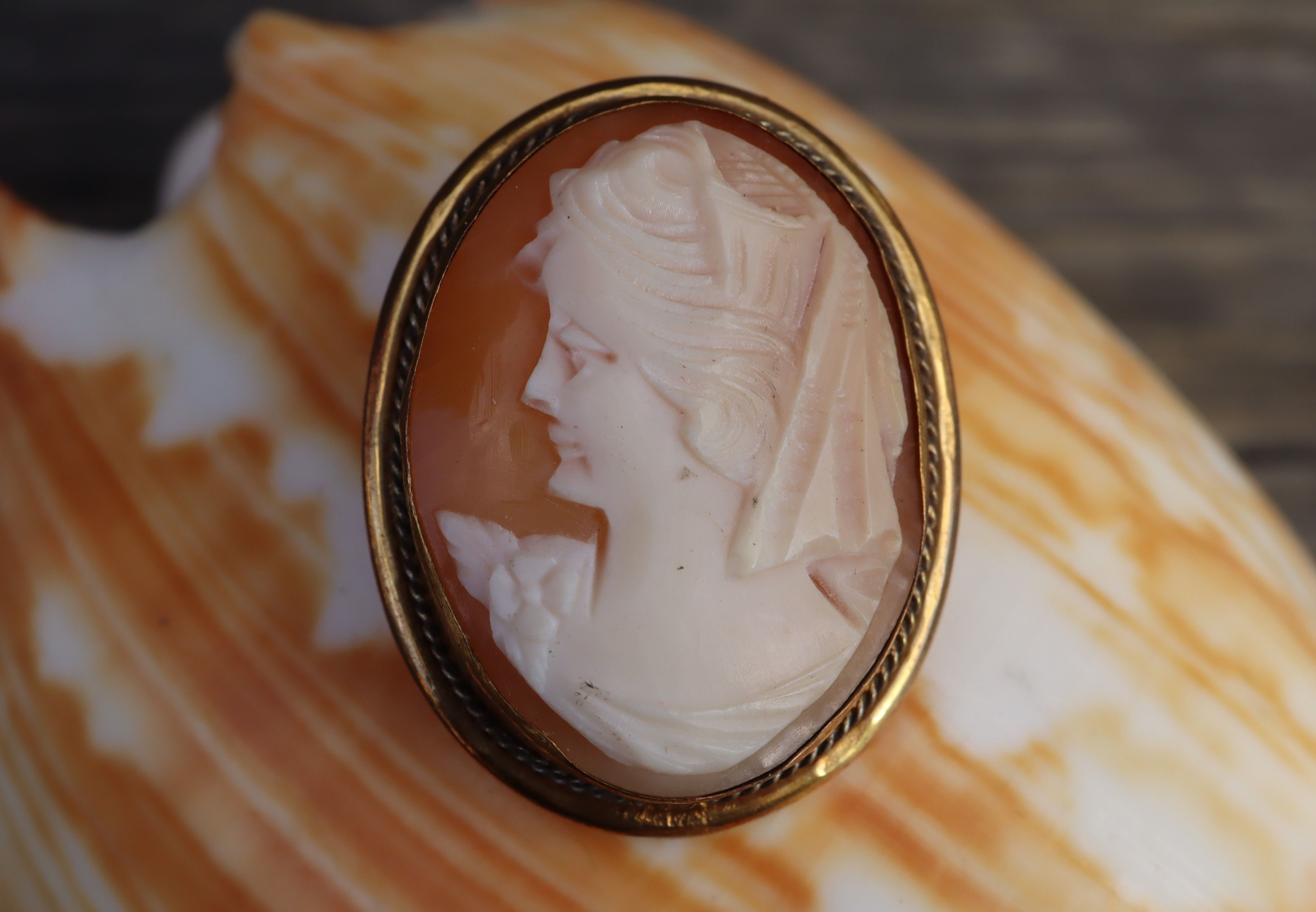 Cameo in 9ct Gold