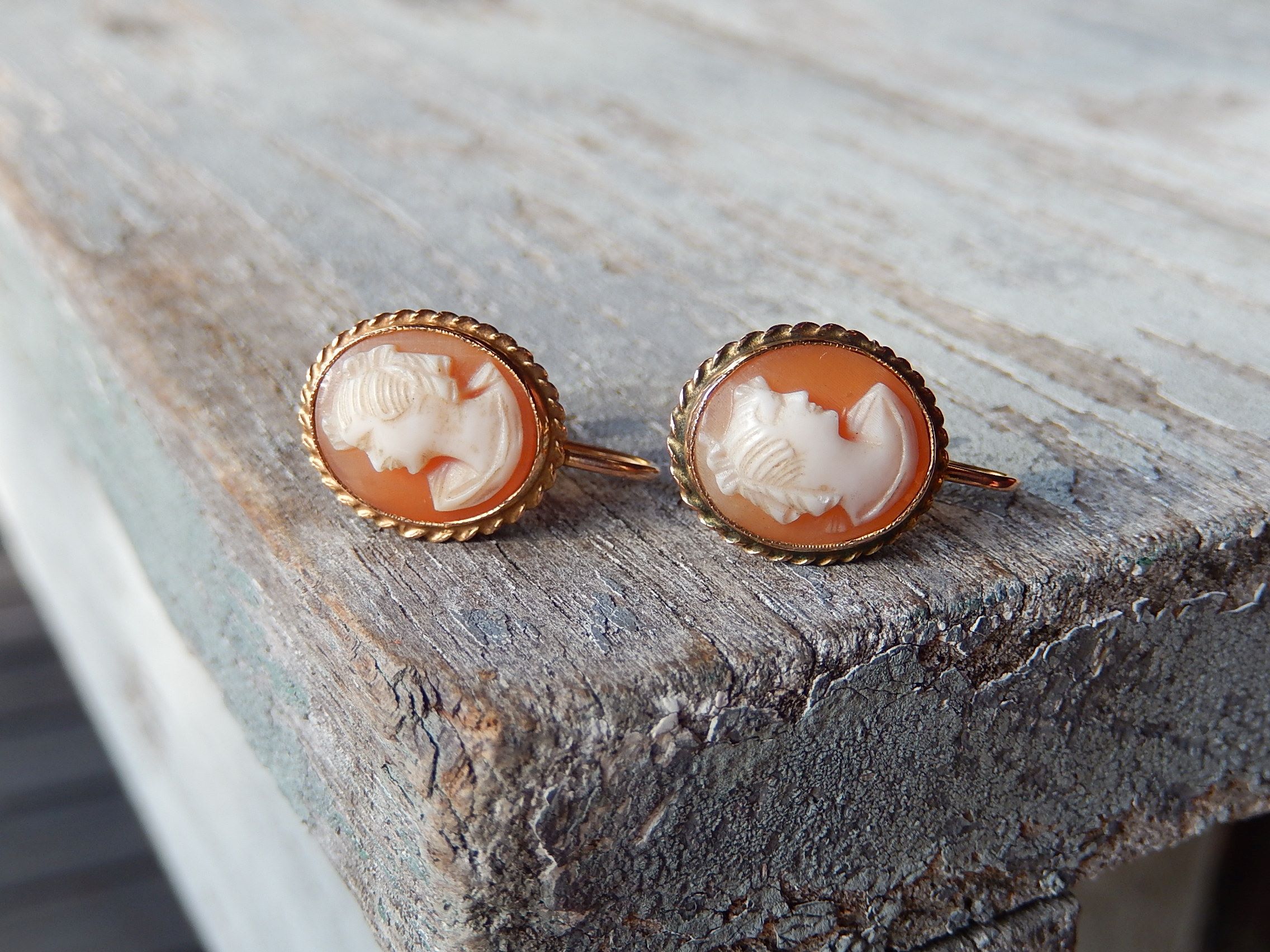 Cameo Shell Screw Back Earrings in 9ct Gold