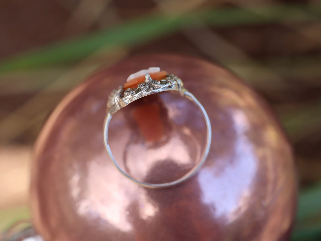 Carved Shell Cameo and Marcasite in Sterling