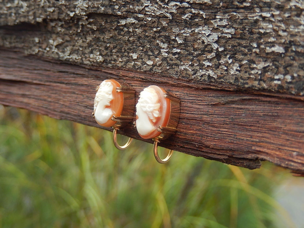 Cameo Screw Back Earrings in 9ct