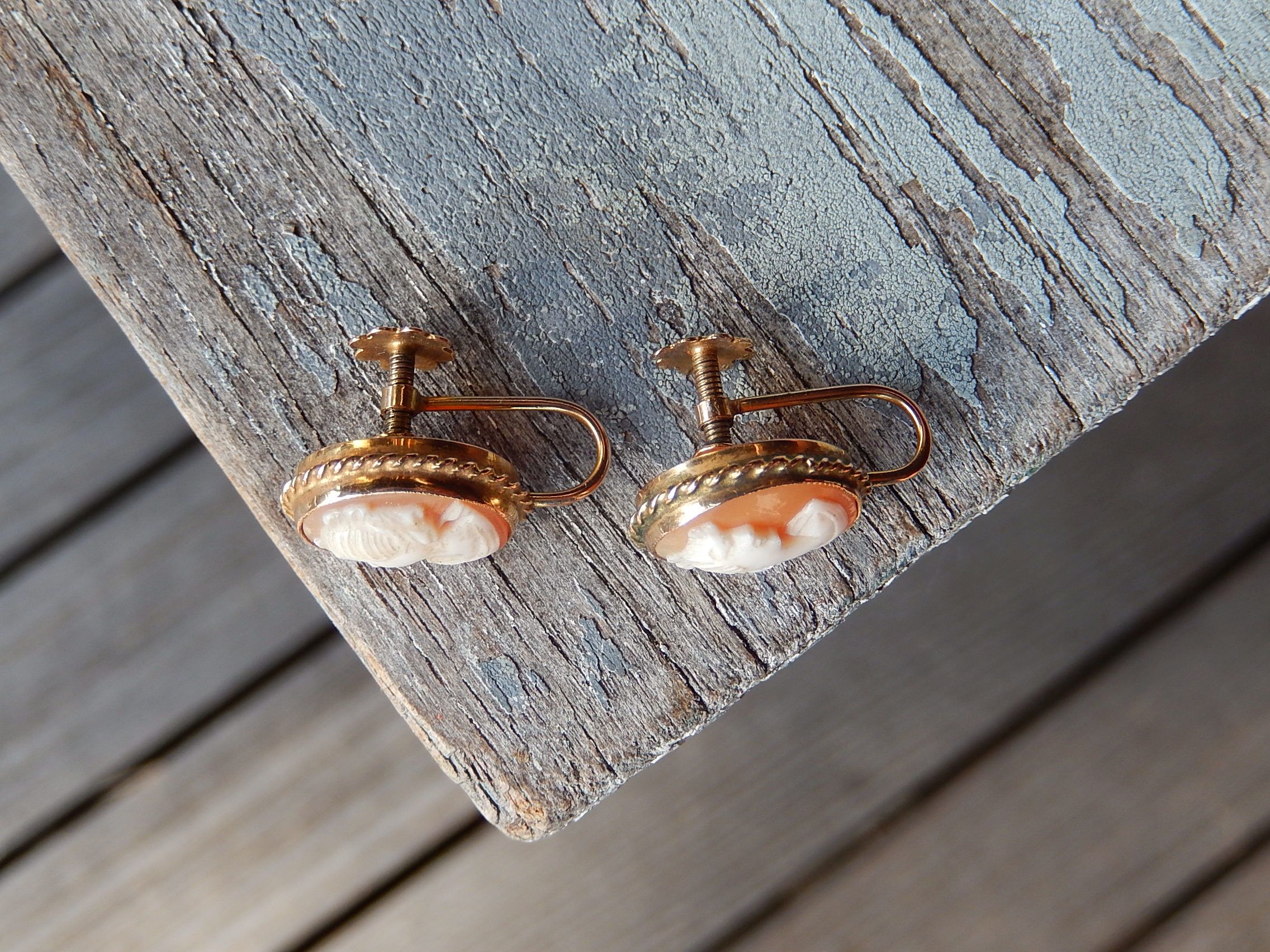 Cameo Shell Screw Back Earrings in 9ct Gold