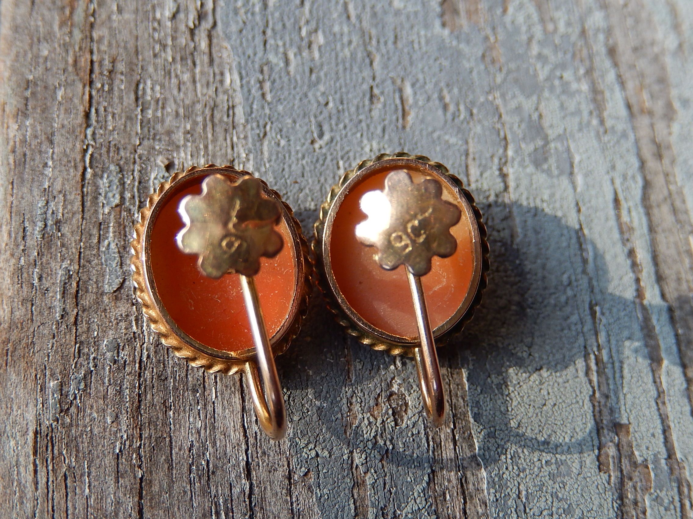 Cameo Shell Screw Back Earrings in 9ct Gold