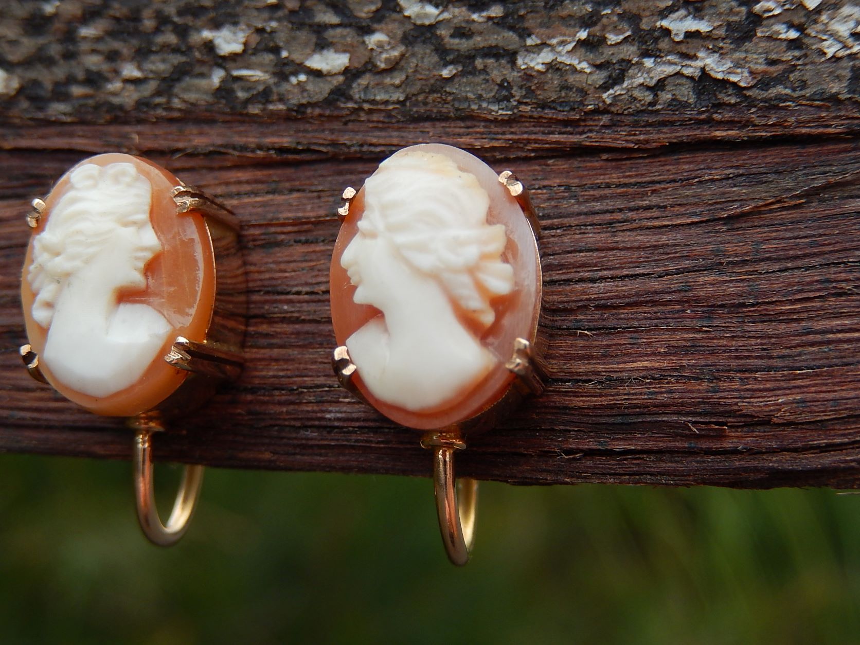 Cameo Screw Back Earrings in 9ct