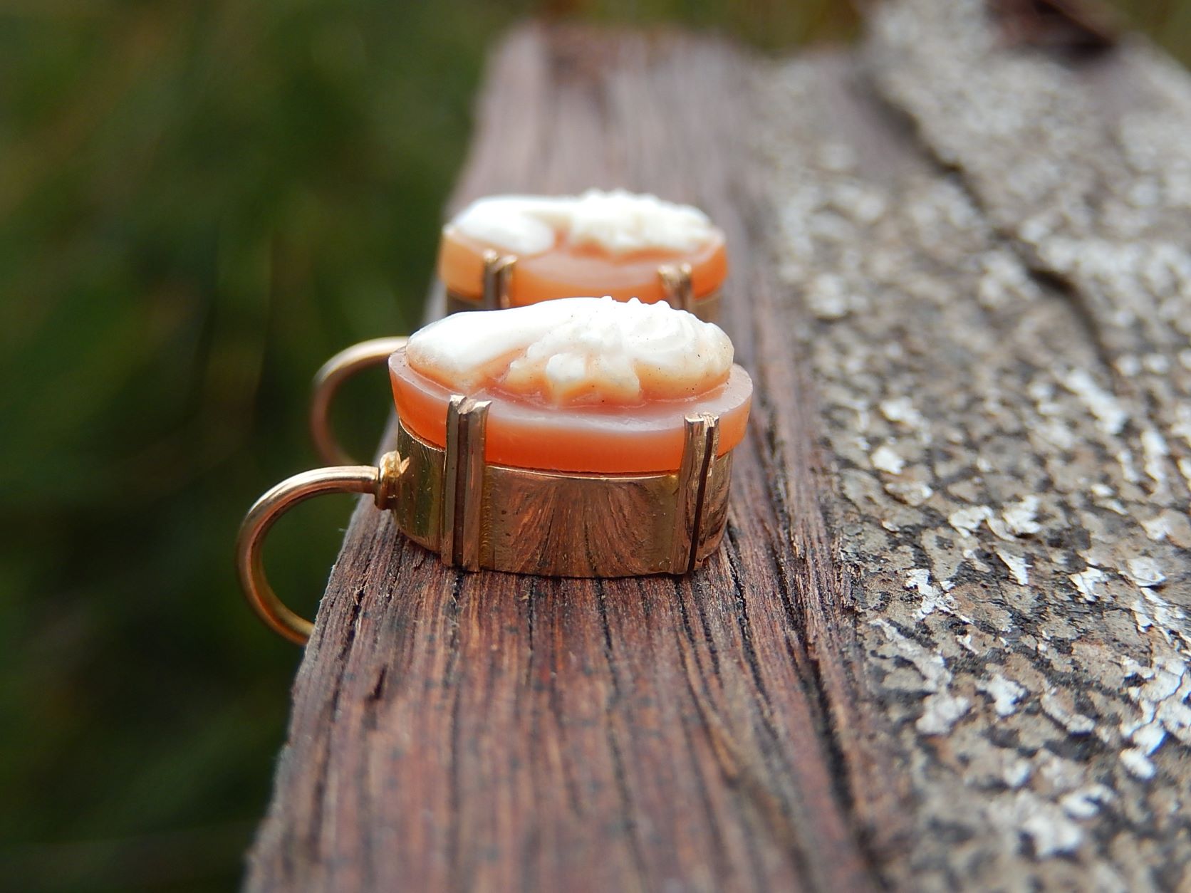 Cameo Screw Back Earrings in 9ct