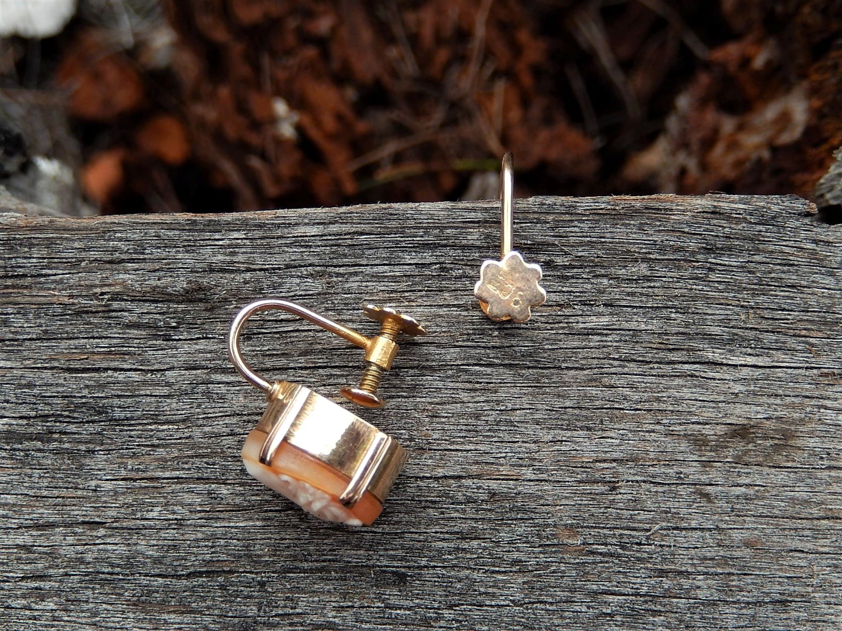 Cameo Screw Back Earrings in 9ct