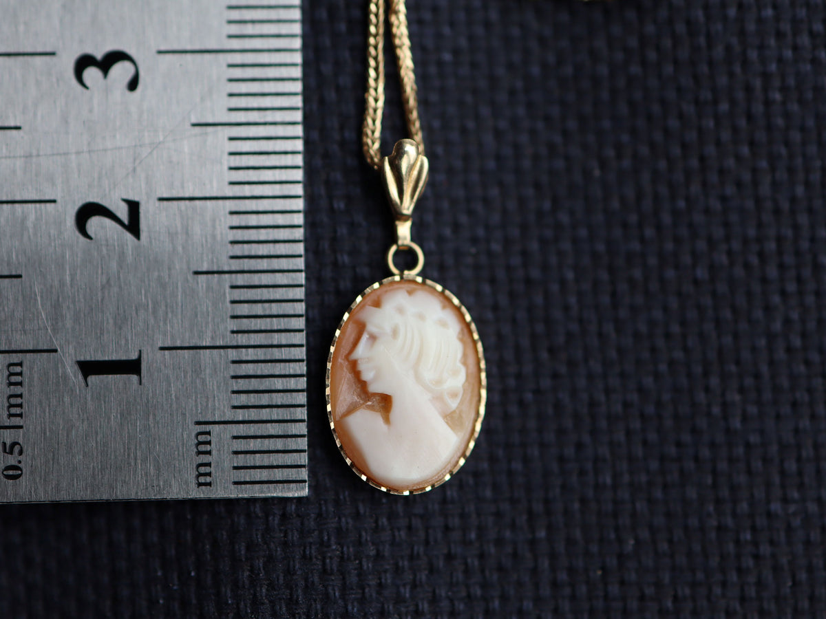 9ct Carved Shell
