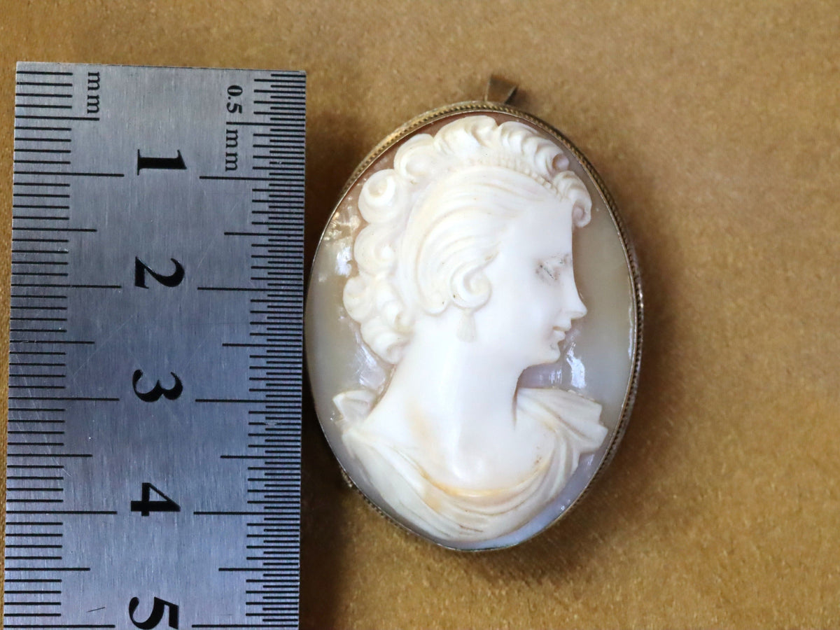 Shell Cameo Brooch/Pendant in Gold Plate c.1900