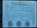 Certificates of Discharge 1946
