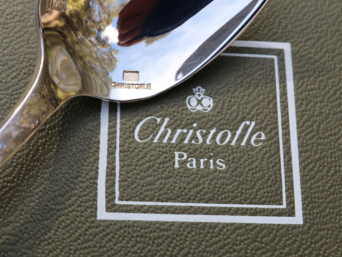 Christofle Iced Drink Spoon