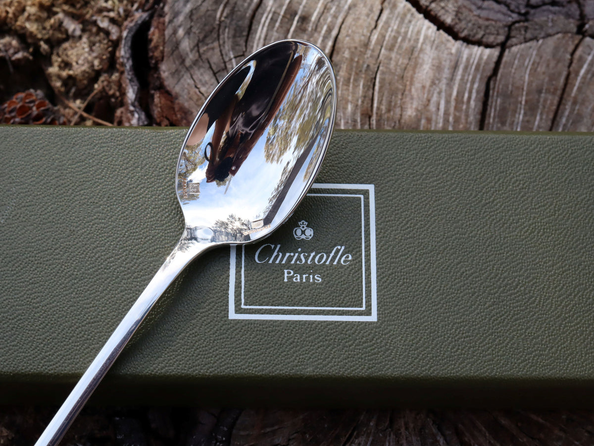 Christofle Iced Drink Spoon